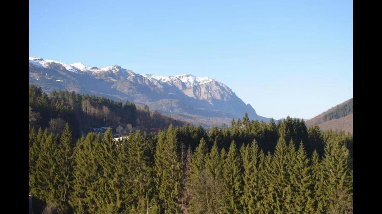 Mountain Residence Sinaia Eksteriør billede